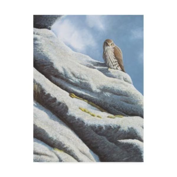 Mike Hughes 'Merlin' Canvas Art, 24x32, Trademark Fine Art, Mfr#: ALI42258-C2432GG